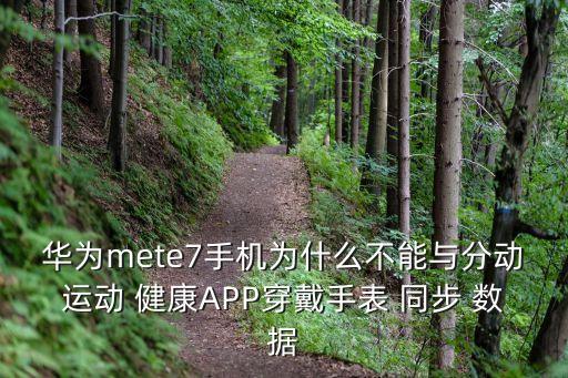 華為mete7手機為什么不能與分動運動 健康A(chǔ)PP穿戴手表 同步 數(shù)據(jù)