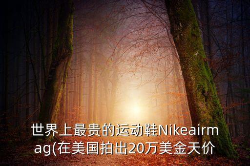世界上最貴的運動鞋Nikeairmag(在美國拍出20萬美金天價