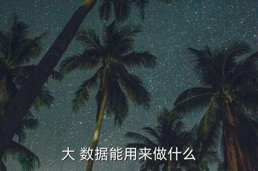 大數(shù)據(jù)是干啥的,關(guān)于大數(shù)據(jù)的介紹