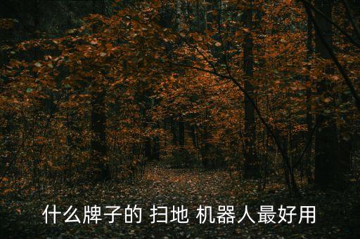 石頭掃地機(jī)器人天貓