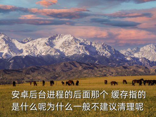  安卓后臺進程的后面那個 緩存指的是什么呢為什么一般不建議清理呢
