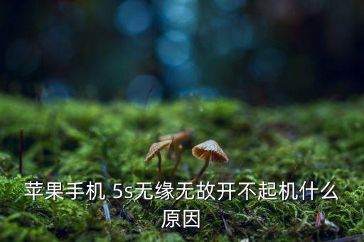 5s自動沒反應(yīng),5s的home鍵完全沒反應(yīng)
