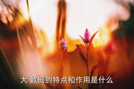 大 數(shù)據(jù)的特點(diǎn)和作用是什么