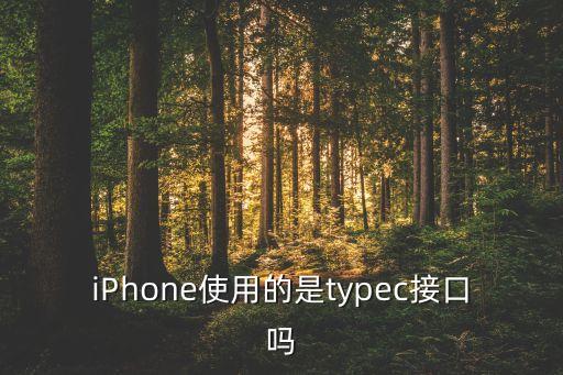iPhone使用的是typec接口嗎