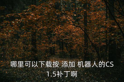哪里可以下載按 添加 機(jī)器人的CS1.5補(bǔ)丁啊