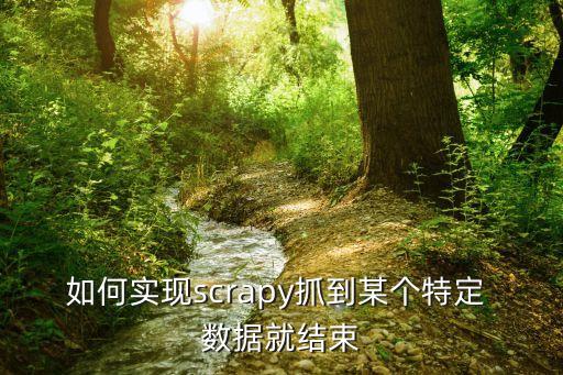 如何實(shí)現(xiàn)scrapy抓到某個特定 數(shù)據(jù)就結(jié)束