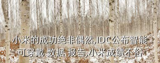 小米的成功絕非偶然,IDC公布智能可穿戴 數(shù)據(jù) 報(bào)告,小米成績不俗