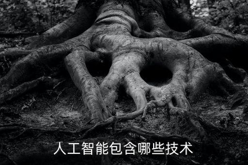 人工智能包含哪些技術(shù)
