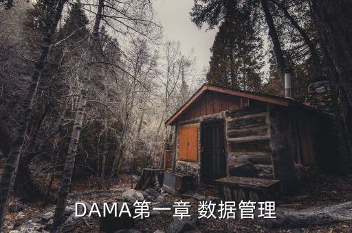 DAMA第一章 數(shù)據(jù)管理