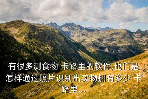 卡路里數(shù)據(jù)庫