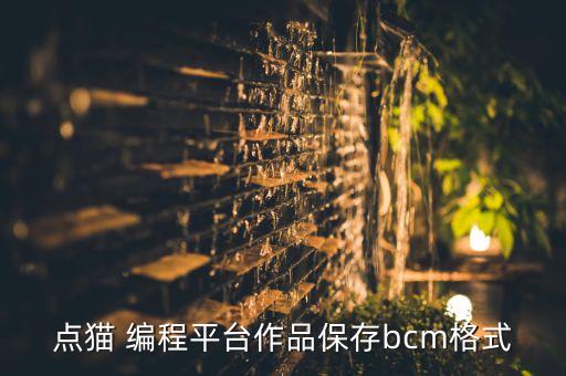 點(diǎn)貓 編程平臺(tái)作品保存bcm格式
