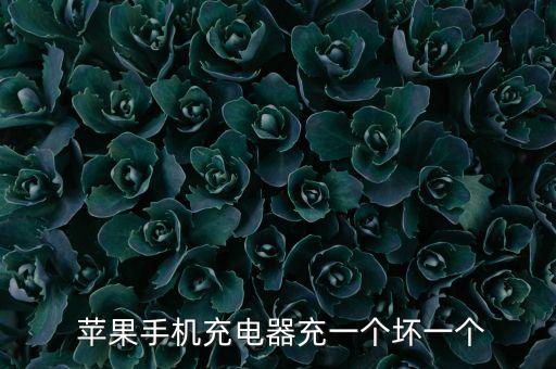  蘋果手機(jī)充電器充一個(gè)壞一個(gè)