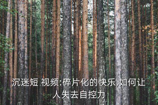 沉迷短 視頻:碎片化的快樂,如何讓人失去自控力
