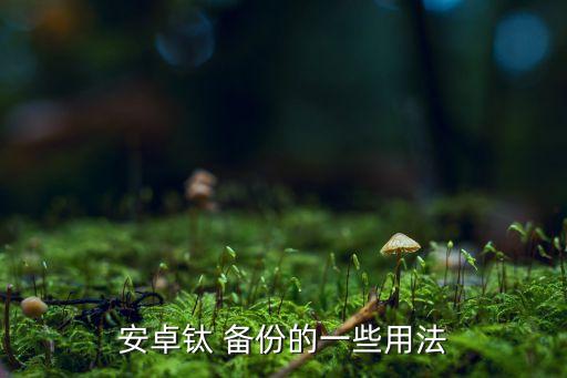 安卓鈦 備份的一些用法
