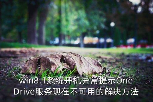 win8.1系統(tǒng)開(kāi)機(jī)異常提示OneDrive服務(wù)現(xiàn)在不可用的解決方法