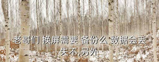 老哥們 換屏需要 備份么 數(shù)據(jù)會(huì)丟失不,另外