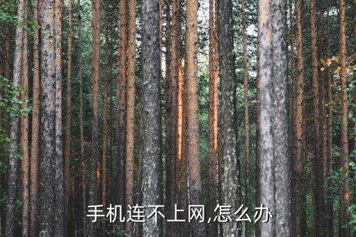  手機連不上網,怎么辦