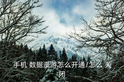  手機 數(shù)據(jù)漫游怎么開通/怎么 關(guān)閉