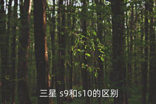  三星 s9和s10的區(qū)別