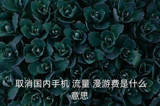  取消國內(nèi)手機 流量 漫游費是什么意思