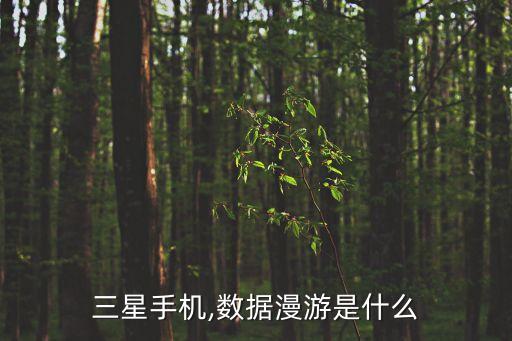 三星手機(jī),數(shù)據(jù)漫游是什么