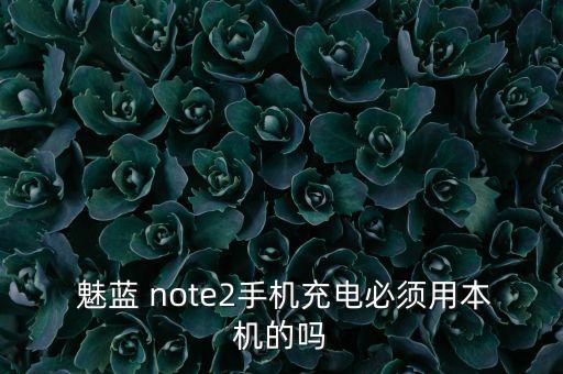 魅藍(lán)note不用原裝數(shù)據(jù)線