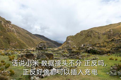 話說小米 數(shù)據(jù)接頭不分 正反嗎, 正反好像都可以插入充電