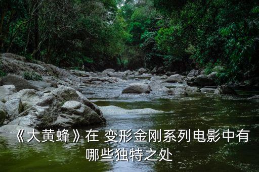 《大黃蜂》在 變形金剛系列電影中有哪些獨(dú)特之處
