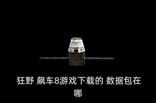  狂野 飆車8游戲下載的 數(shù)據(jù)包在哪