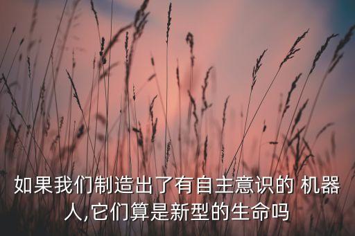 機(jī)器人硅基生物,人屬于碳基生物,機(jī)器人屬于什么
