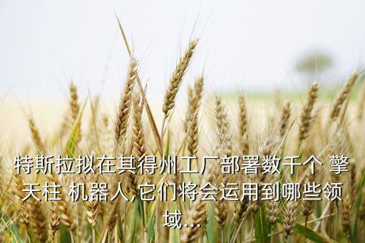 特斯拉擬在其得州工廠部署數(shù)千個(gè) 擎天柱 機(jī)器人,它們將會(huì)運(yùn)用到哪些領(lǐng)域...