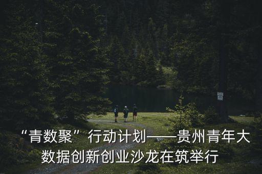 數(shù)據(jù)孵化器是什么東西,孵化器是什么意思