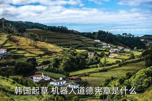 機(jī)器人被虐待