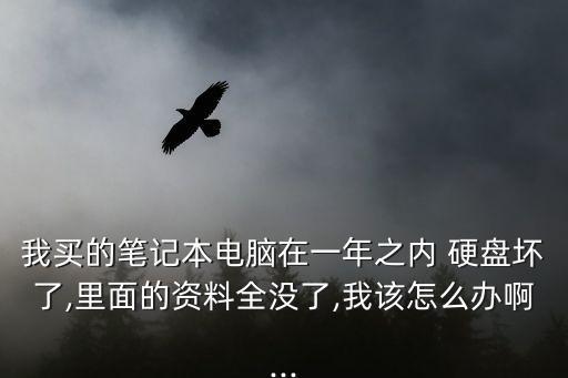 我買的筆記本電腦在一年之內(nèi) 硬盤壞了,里面的資料全沒了,我該怎么辦啊...