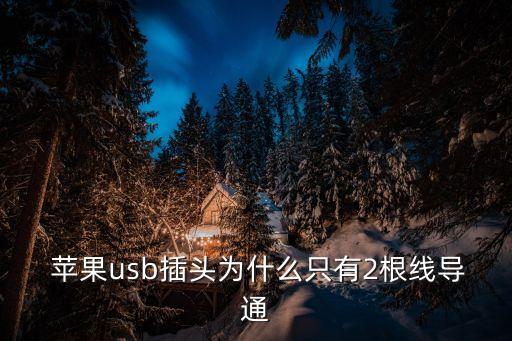 蘋果自帶兩根數據線,蘋果數據線里面哪兩根是充電的