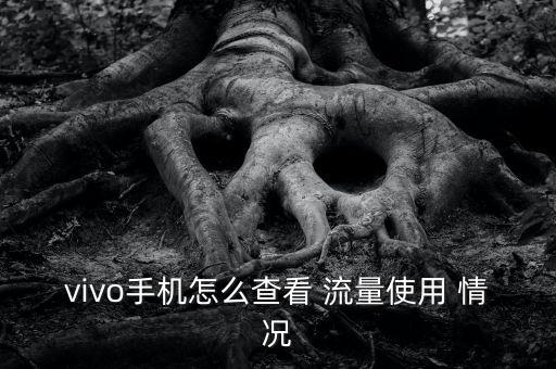 怎樣查數(shù)據(jù)流量使用情況,怎樣關(guān)閉卡1數(shù)據(jù)流量用卡2