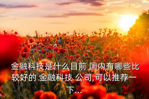 國(guó)內(nèi)金融大數(shù)據(jù)公司有哪些公司嗎