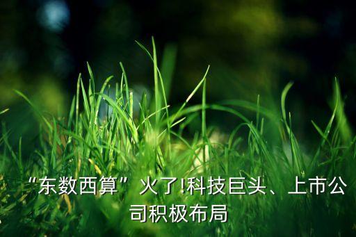 “東數(shù)西算”火了!科技巨頭、上市公司積極布局