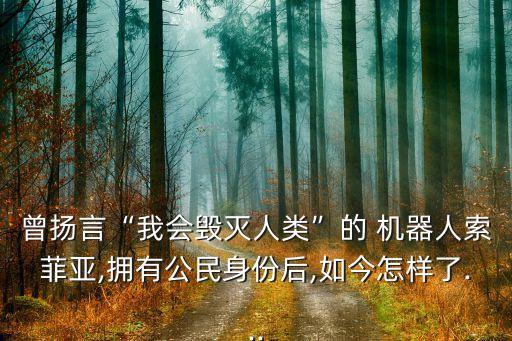 曾揚(yáng)言“我會毀滅人類”的 機(jī)器人索菲亞,擁有公民身份后,如今怎樣了...