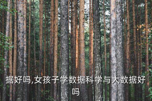 大數(shù)據(jù)好嗎,女孩子學(xué)數(shù)據(jù)科學(xué)與大數(shù)據(jù)好嗎