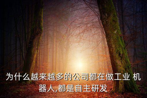 為什么越來(lái)越多的公司都在做工業(yè) 機(jī)器人,都是自主研發(fā)