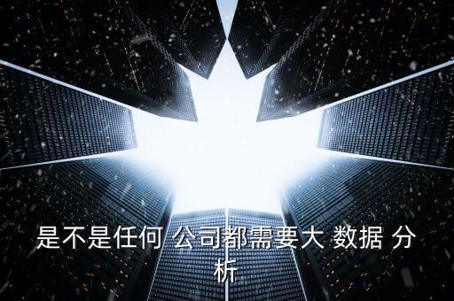 是不是任何 公司都需要大 數(shù)據(jù) 分析