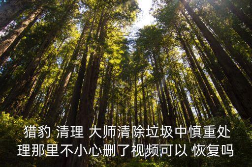  獵豹 清理 大師清除垃圾中慎重處理那里不小心刪了視頻可以 恢復嗎