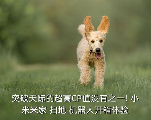 突破天際的超高CP值沒(méi)有之一! 小米米家 掃地 機(jī)器人開(kāi)箱體驗(yàn)