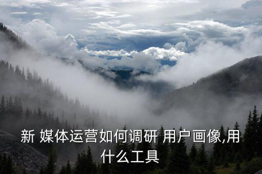 新 媒體運營如何調研 用戶畫像,用什么工具