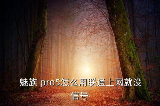  魅族 pro5怎么用聯(lián)通上網(wǎng)就沒信號