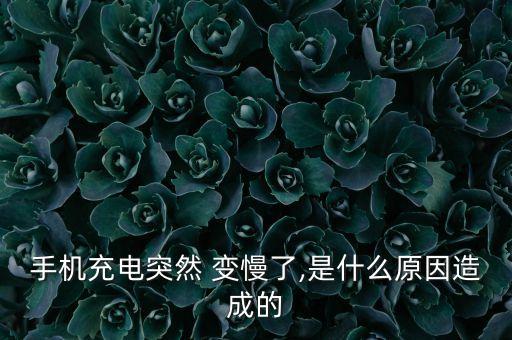 手機(jī)充電突然 變慢了,是什么原因造成的