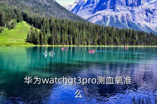 華為watchgt3pro測血氧準么