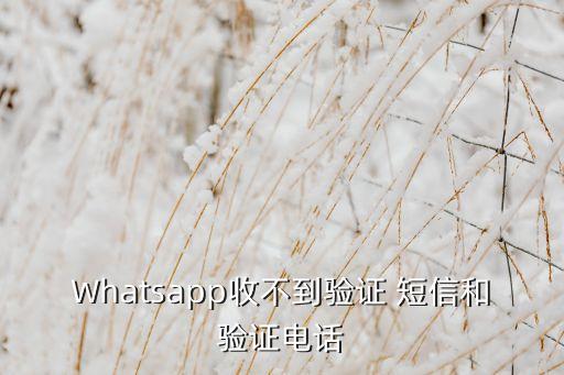 Whatsapp收不到驗證 短信和驗證電話