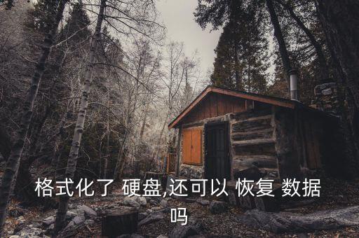 格式化了 硬盤,還可以 恢復(fù) 數(shù)據(jù)嗎